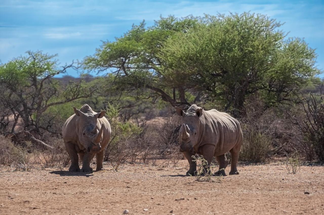 Naankuse Lodge ويندهوك المظهر الخارجي الصورة