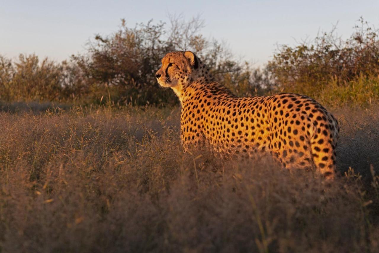 Naankuse Lodge ويندهوك المظهر الخارجي الصورة